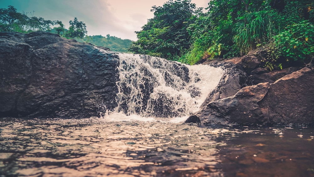 whispering peepul resort