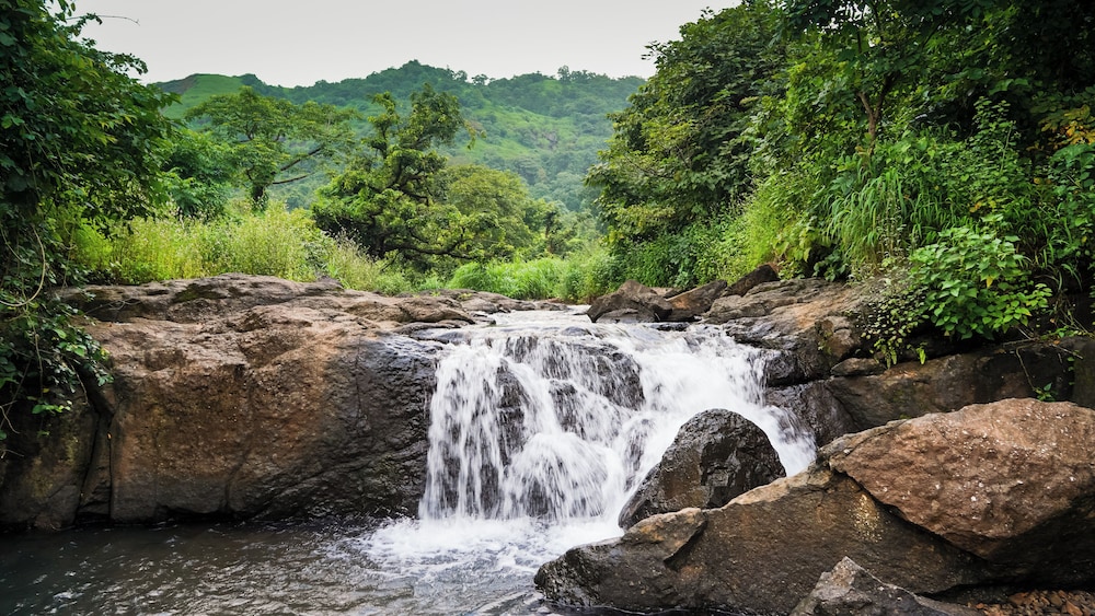 whispering peepul resort
