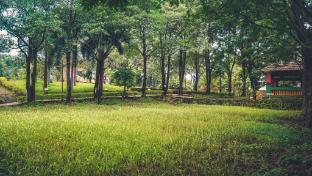 whispering peepul resort