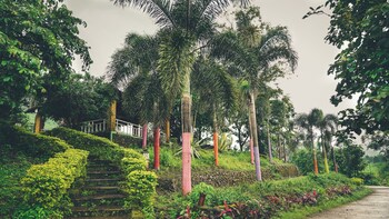 whispering peepul resort