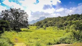 whispering peepul resort