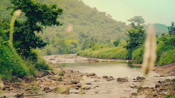 whispering peepul resort