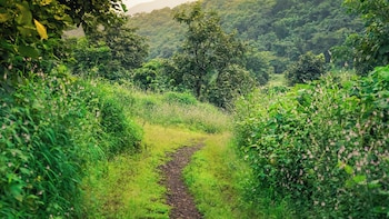 whispering peepul resort