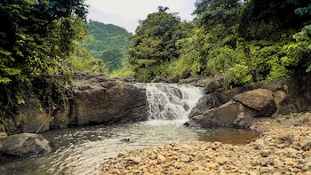 whispering peepul resort