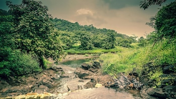 whispering peepul resort