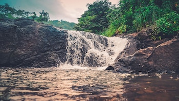 whispering peepul resort