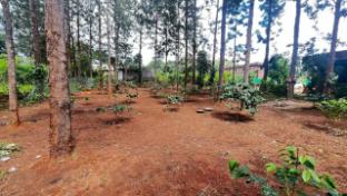 casa woods resort araku valley