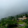 thamarassery