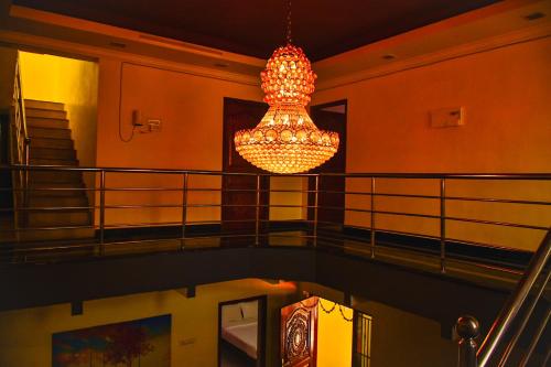 coralshelters pykara