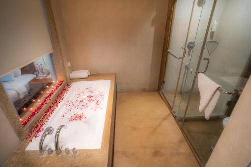 the sky imperial jaipur