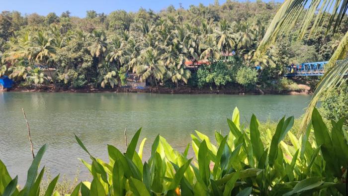goa