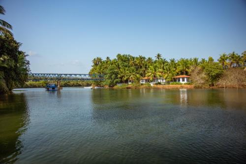 goa