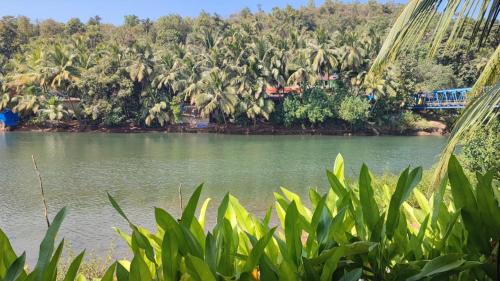 goa