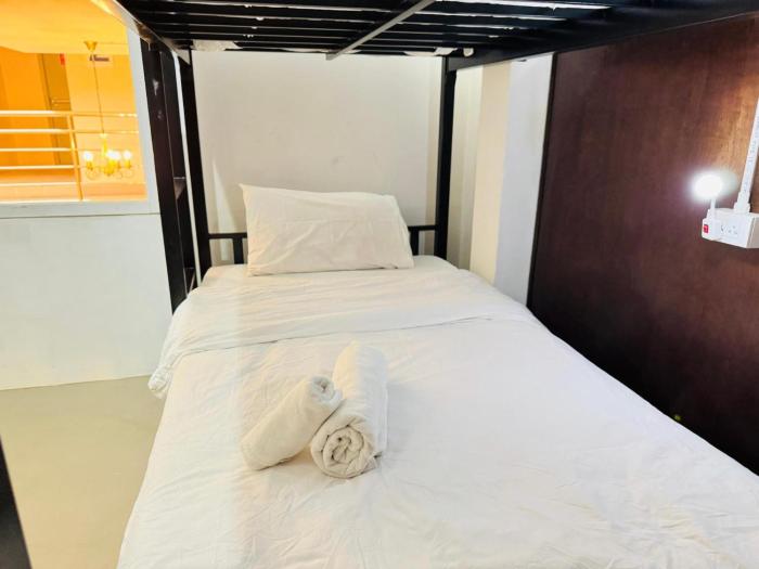 collection o bupamontra chiangmai