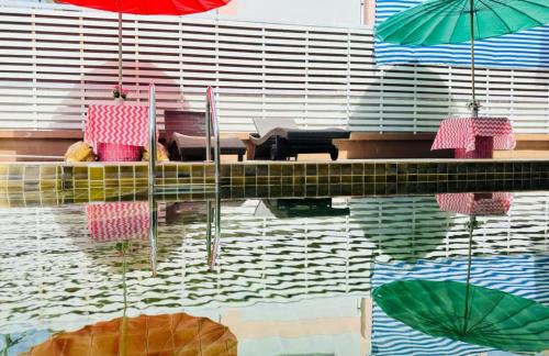 collection o bupamontra chiangmai