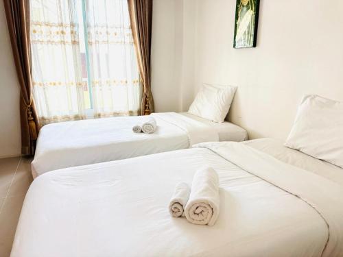 collection o bupamontra chiangmai