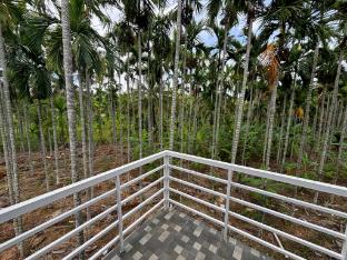 sirivasa homestay chikamagalur