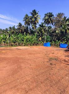 honavar