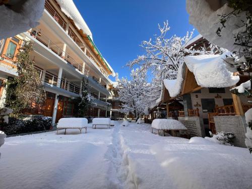 hide in old manali