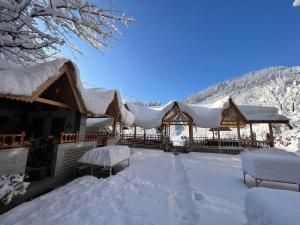hide in old manali