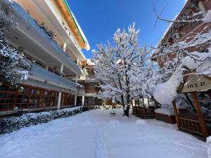 hide in old manali