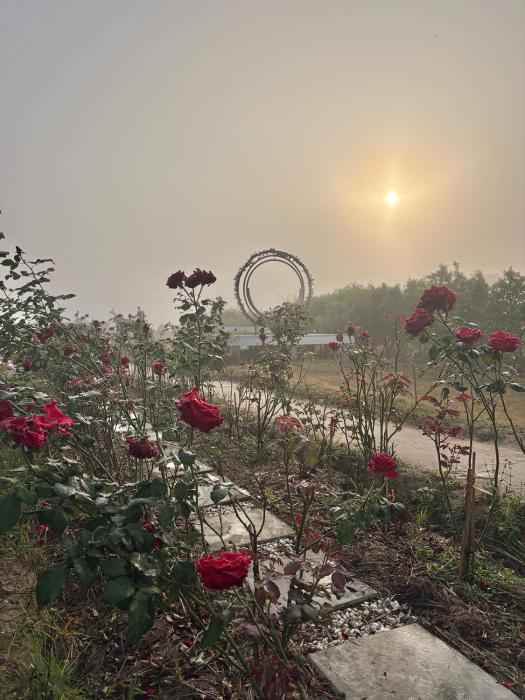 paradise resort and cafe