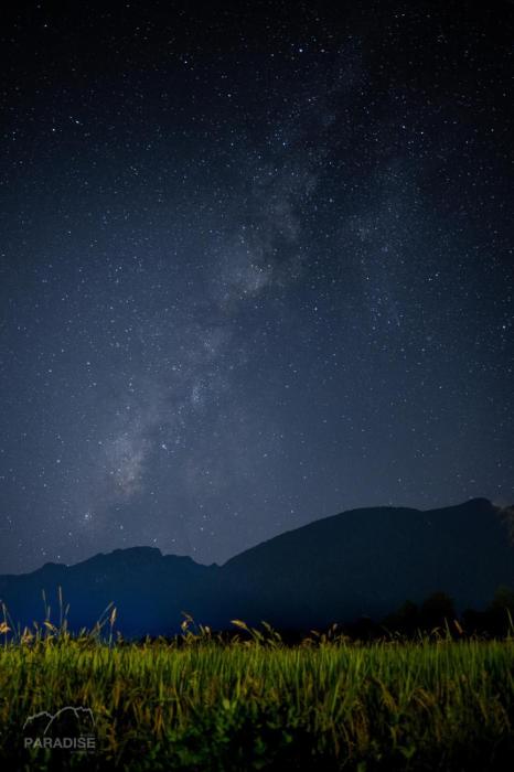 paradise resort and cafe