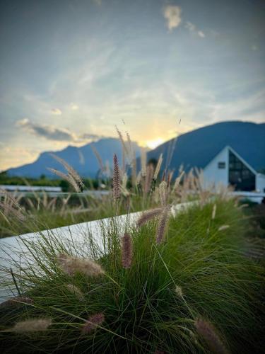 Paradise Resort & Cafe,,4 star