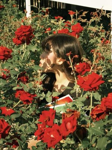 paradise resort and cafe