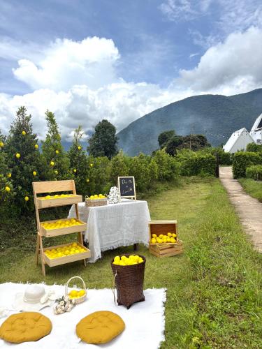 paradise resort and cafe