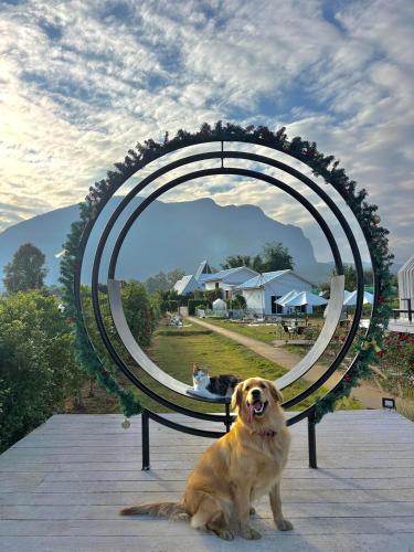 paradise resort and cafe