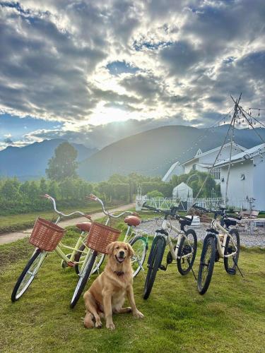 paradise resort and cafe