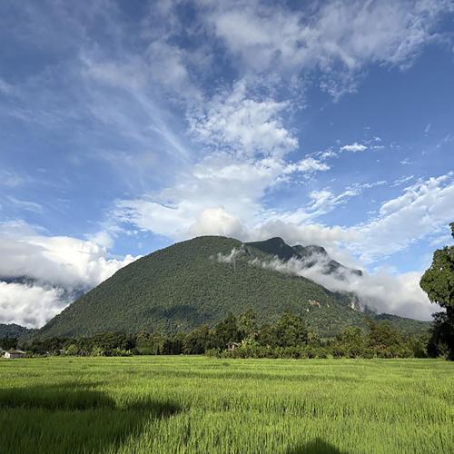 Paradise Resort & Cafe,,4 star