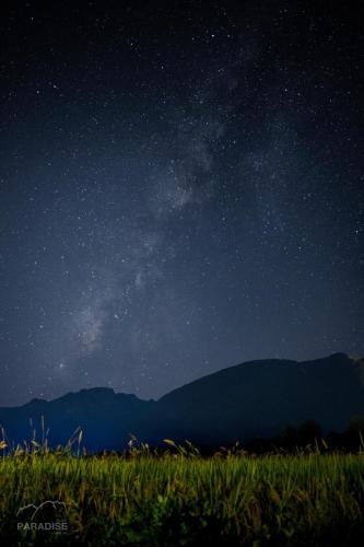 paradise resort and cafe