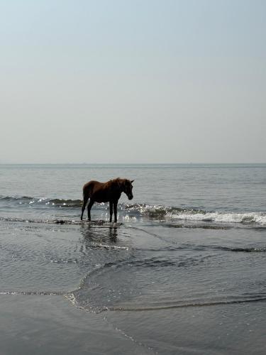 Panorama Seascape,,3 star