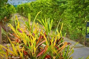 Amar Bagh Hotel,,3 star