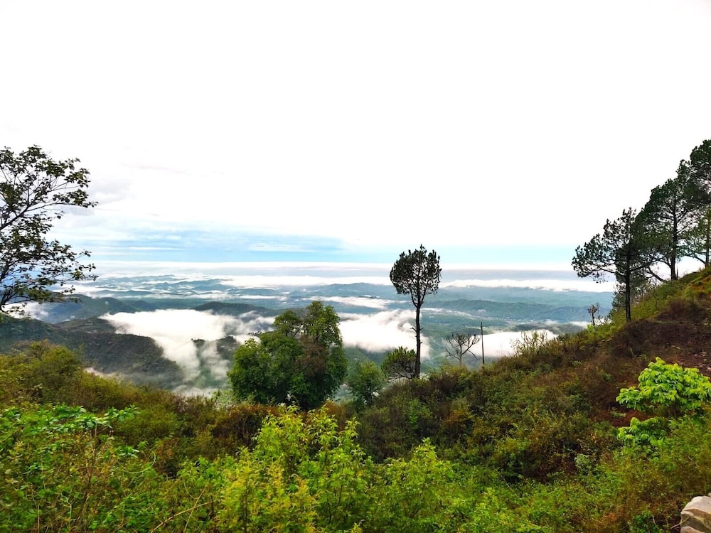 jaitak resort by pine