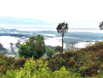 jaitak resort by pine