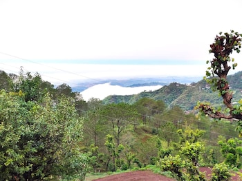 jaitak resort by pine