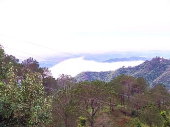 jaitak resort by pine