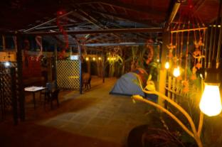 dandeli boutique jungle resort