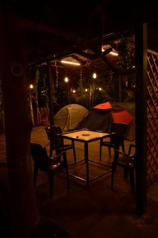 dandeli boutique jungle resort