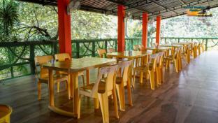 dandeli boutique jungle resort