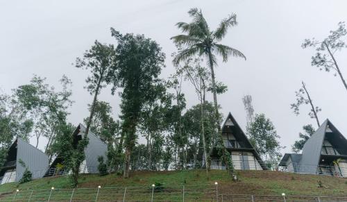 munnar