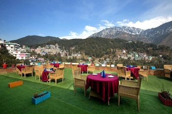 zenq signature inn mcleodganj