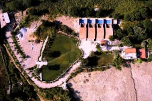 umber tree a nature side heaven resort