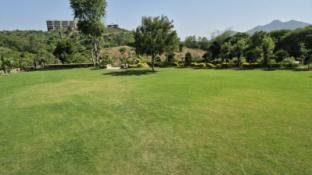 umber tree a nature side heaven resort