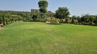 umber tree a nature side heaven resort