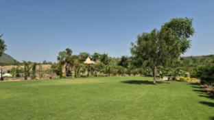 umber tree a nature side heaven resort