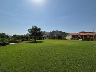 umber tree a nature side heaven resort